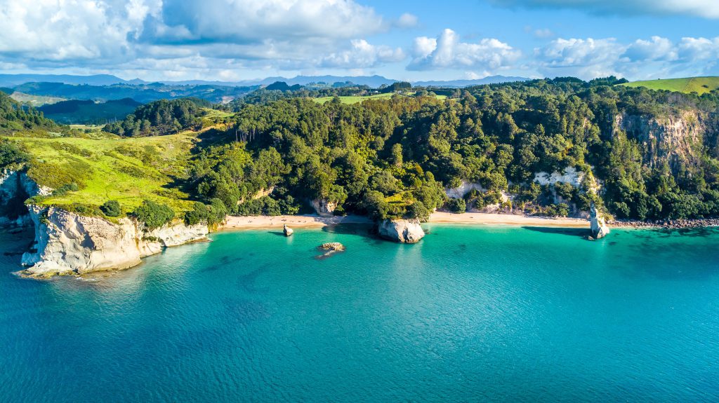 road trip from auckland to coromandel