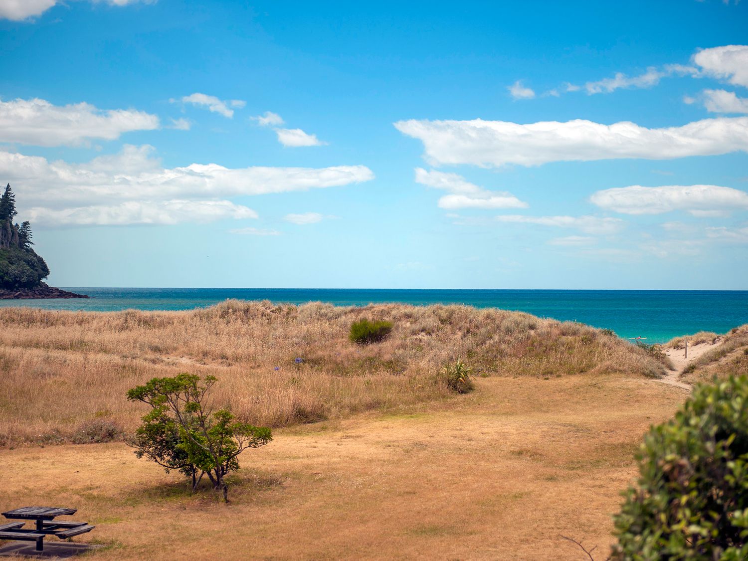 A Guide to Coastal Baches: New Zealand’s